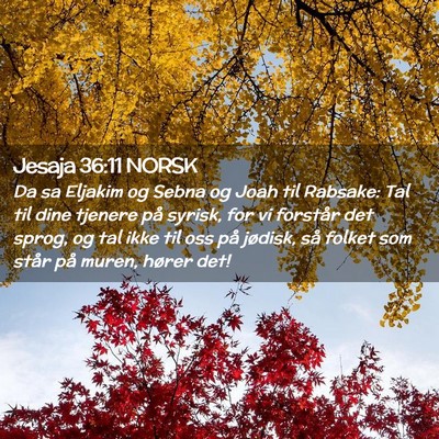 Picture 02 - Jesaja 36:11 NORSK - Da sa Eljakim og Sebna og Joah til Rabsake: Tal - Bible Verse Picture