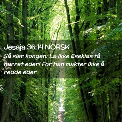 Picture 02 - Jesaja 36:14 NORSK - Så sier kongen: La ikke Esekias få narret eder! - Bible Verse Picture