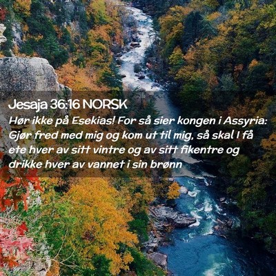 Picture 02 - Jesaja 36:16 NORSK - Hør ikke på Esekias! For så sier kongen i - Bible Verse Picture