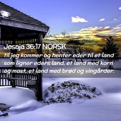 Picture 02 - Jesaja 36:17 NORSK - til jeg kommer og henter eder til et land som - Bible Verse Picture
