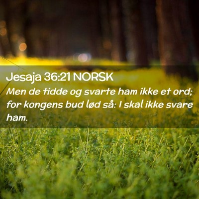 Picture 02 - Jesaja 36:21 NORSK - Men de tidde og svarte ham ikke et ord; for - Bible Verse Picture