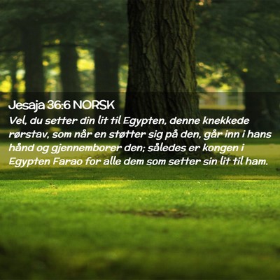 Picture 02 - Jesaja 36:6 NORSK - Vel, du setter din lit til Egypten, denne - Bible Verse Picture