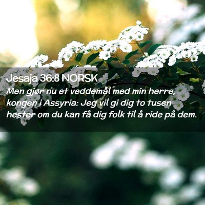 Picture 02 - Jesaja 36:8 NORSK - Men gjør nu et veddemål med min herre, kongen i - Bible Verse Picture