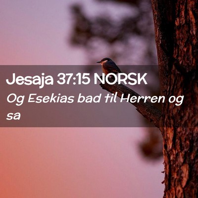 Picture 02 - Jesaja 37:15 NORSK - Og Esekias bad til Herren og - Bible Verse Picture