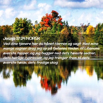 Picture 02 - Jesaja 37:24 NORSK - Ved dine tjenere har du hånet Herren og sagt: - Bible Verse Picture