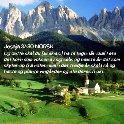 Picture 02 - Jesaja 37:30 NORSK - Og dette skal du {Esekias.} ha til tegn: Iår - Bible Verse Picture