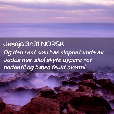 Picture 02 - Jesaja 37:31 NORSK - Og den rest som har sloppet unda av Judas hus, - Bible Verse Picture