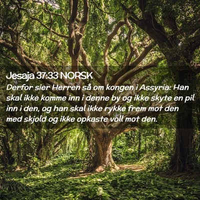 Picture 02 - Jesaja 37:33 NORSK - Derfor sier Herren så om kongen i Assyria: Han - Bible Verse Picture