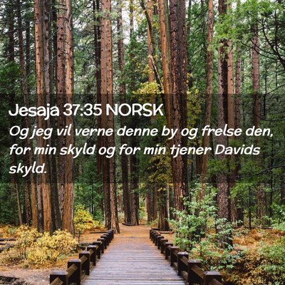 Picture 02 - Jesaja 37:35 NORSK - Og jeg vil verne denne by og frelse den, for min - Bible Verse Picture