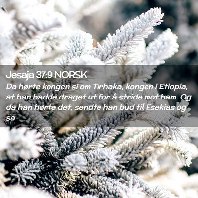 Picture 02 - Jesaja 37:9 NORSK - Da hørte kongen si om Tirhaka, kongen i Etiopia, - Bible Verse Picture