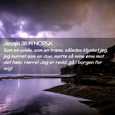 Picture 02 - Jesaja 38:14 NORSK - Som en svale, som en trane, således klynket jeg, - Bible Verse Picture