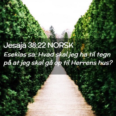 Picture 02 - Jesaja 38:22 NORSK - Esekias sa: Hvad skal jeg ha til tegn på at jeg - Bible Verse Picture