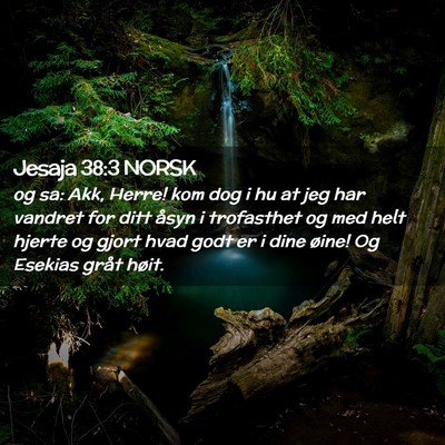 Picture 02 - Jesaja 38:3 NORSK - og sa: Akk, Herre! kom dog i hu at jeg har - Bible Verse Picture