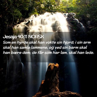 Picture 02 - Jesaja 40:11 NORSK - Som en hyrde skal han vokte sin hjord; i sin arm - Bible Verse Picture