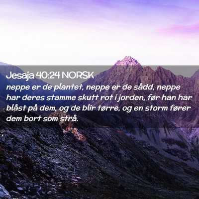 Picture 02 - Jesaja 40:24 NORSK - neppe er de plantet, neppe er de sådd, neppe har - Bible Verse Picture