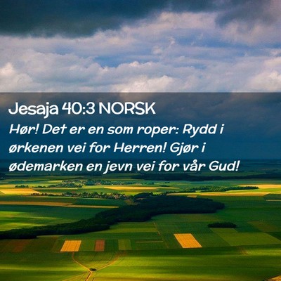 Picture 02 - Jesaja 40:3 NORSK - Hør! Det er en som roper: Rydd i ørkenen vei - Bible Verse Picture