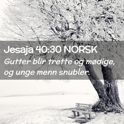 Picture 02 - Jesaja 40:30 NORSK - Gutter blir trette og mødige, og unge menn - Bible Verse Picture