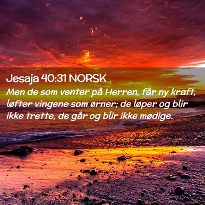 Picture 02 - Jesaja 40:31 NORSK - Men de som venter på Herren, får ny kraft, - Bible Verse Picture