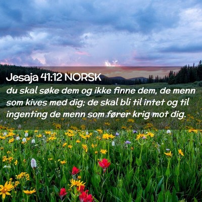 Picture 02 - Jesaja 41:12 NORSK - du skal søke dem og ikke finne dem, de menn som - Bible Verse Picture
