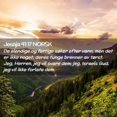 Picture 02 - Jesaja 41:17 NORSK - De elendige og fattige søker efter vann, men det - Bible Verse Picture
