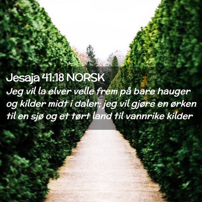 Picture 02 - Jesaja 41:18 NORSK - Jeg vil la elver velle frem på bare hauger og - Bible Verse Picture