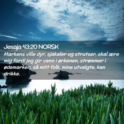 Picture 02 - Jesaja 43:20 NORSK - Markens ville dyr, sjakaler og strutser, skal - Bible Verse Picture