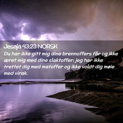 Picture 02 - Jesaja 43:23 NORSK - Du har ikke gitt mig dine brennoffers får og - Bible Verse Picture