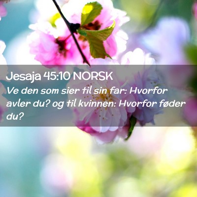 Picture 02 - Jesaja 45:10 NORSK - Ve den som sier til sin far: Hvorfor avler du? og - Bible Verse Picture