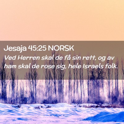 Picture 02 - Jesaja 45:25 NORSK - Ved Herren skal de få sin rett, og av ham skal - Bible Verse Picture