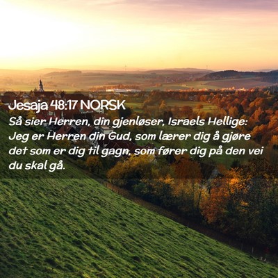 Picture 02 - Jesaja 48:17 NORSK - Så sier Herren, din gjenløser, Israels Hellige: - Bible Verse Picture