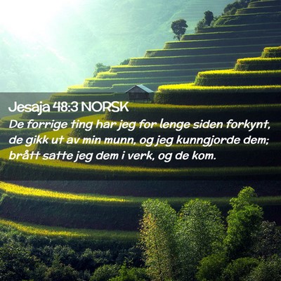 Picture 02 - Jesaja 48:3 NORSK - De forrige ting har jeg for lenge siden forkynt, - Bible Verse Picture