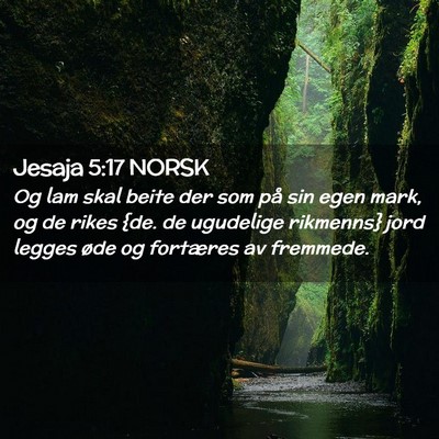 Picture 02 - Jesaja 5:17 NORSK - Og lam skal beite der som på sin egen mark, og - Bible Verse Picture