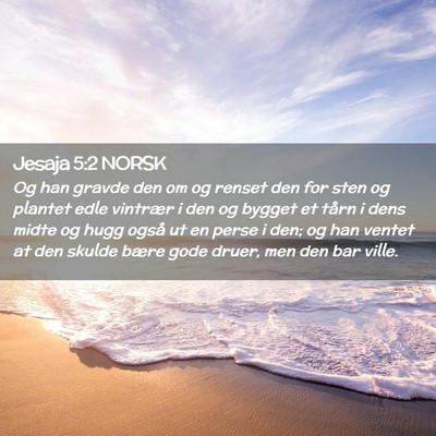 Picture 02 - Jesaja 5:2 NORSK - Og han gravde den om og renset den for sten og - Bible Verse Picture