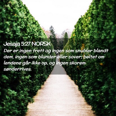 Picture 02 - Jesaja 5:27 NORSK - Der er ingen trett og ingen som snubler blandt - Bible Verse Picture