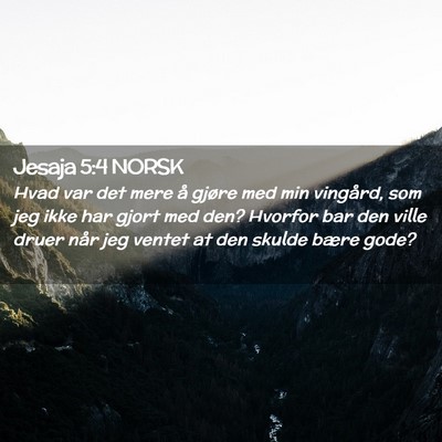 Picture 02 - Jesaja 5:4 NORSK - Hvad var det mere å gjøre med min vingård, som - Bible Verse Picture