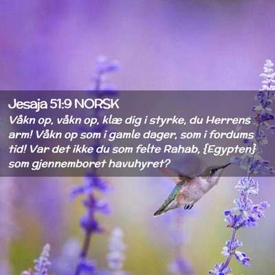 Picture 02 - Jesaja 51:9 NORSK - Våkn op, våkn op, klæ dig i styrke, du Herrens - Bible Verse Picture