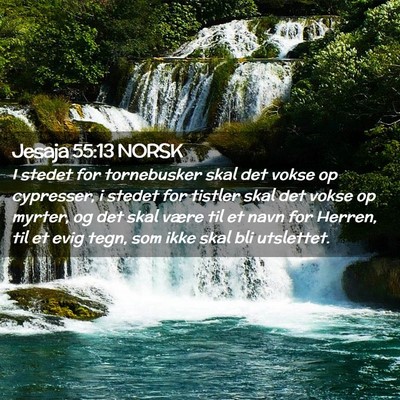 Picture 02 - Jesaja 55:13 NORSK - I stedet for tornebusker skal det vokse op - Bible Verse Picture