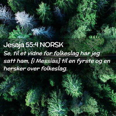 Picture 02 - Jesaja 55:4 NORSK - Se, til et vidne for folkeslag har jeg satt ham, - Bible Verse Picture