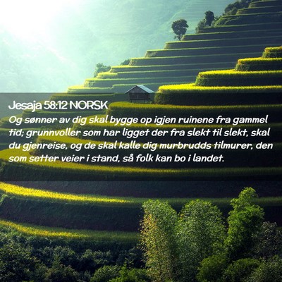 Picture 02 - Jesaja 58:12 NORSK - Og sønner av dig skal bygge op igjen ruinene fra - Bible Verse Picture