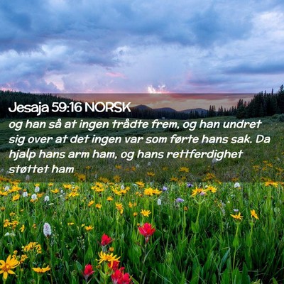 Picture 02 - Jesaja 59:16 NORSK - og han så at ingen trådte frem, og han undret - Bible Verse Picture