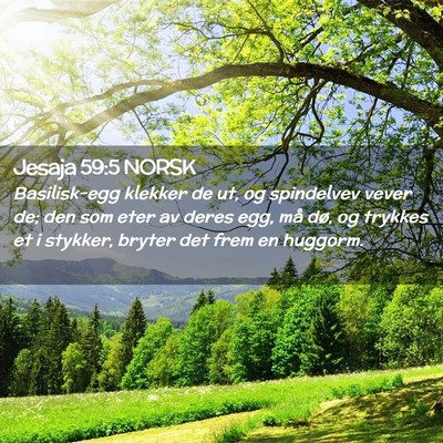 Picture 02 - Jesaja 59:5 NORSK - Basilisk-egg klekker de ut, og spindelvev vever - Bible Verse Picture