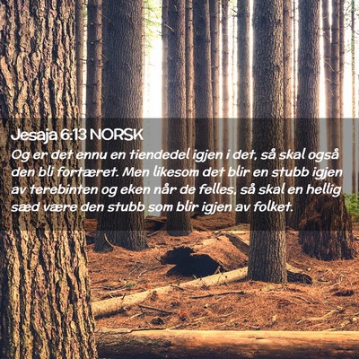 Picture 02 - Jesaja 6:13 NORSK - Og er det ennu en tiendedel igjen i det, så skal - Bible Verse Picture