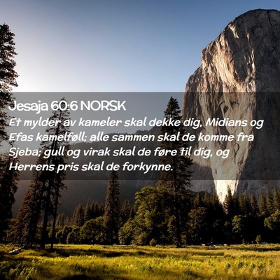Picture 02 - Jesaja 60:6 NORSK - Et mylder av kameler skal dekke dig, Midians og - Bible Verse Picture