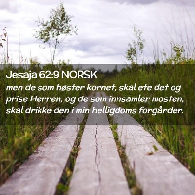 Picture 02 - Jesaja 62:9 NORSK - men de som høster kornet, skal ete det og prise - Bible Verse Picture