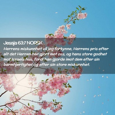 Picture 02 - Jesaja 63:7 NORSK - Herrens miskunnhet vil jeg forkynne, Herrens pris - Bible Verse Picture