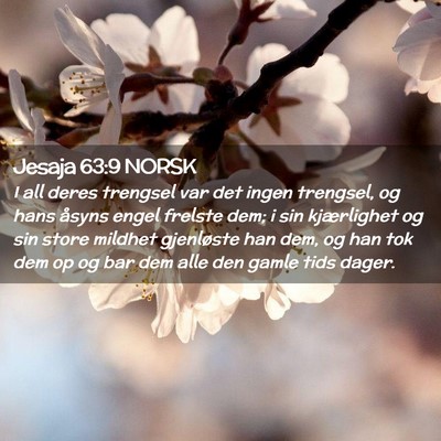 Picture 02 - Jesaja 63:9 NORSK - I all deres trengsel var det ingen trengsel, og - Bible Verse Picture