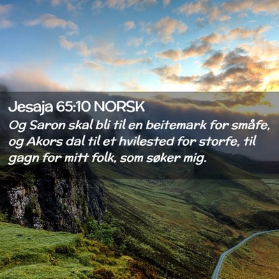 Picture 02 - Jesaja 65:10 NORSK - Og Saron skal bli til en beitemark for småfe, og - Bible Verse Picture