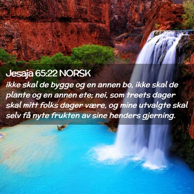 Picture 02 - Jesaja 65:22 NORSK - ikke skal de bygge og en annen bo, ikke skal de - Bible Verse Picture
