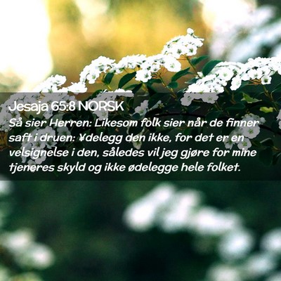 Picture 02 - Jesaja 65:8 NORSK - Så sier Herren: Likesom folk sier når de finner - Bible Verse Picture