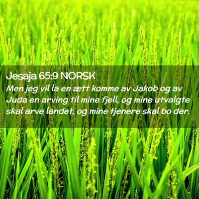 Picture 02 - Jesaja 65:9 NORSK - Men jeg vil la en ætt komme av Jakob og av Juda - Bible Verse Picture